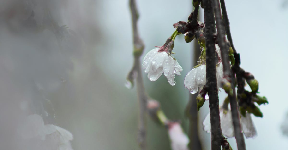 探索青春新態度:跟上生活的浪潮,讓心靈覺醒