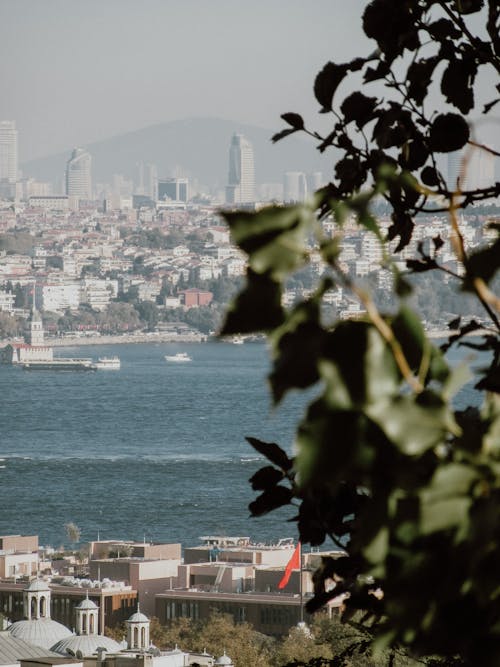 deniz, deniz kıyısı, dikey atış içeren Ücretsiz stok fotoğraf