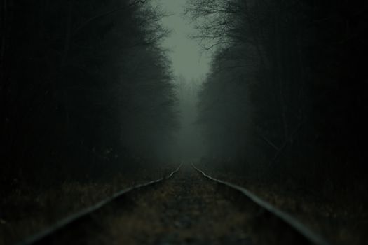 A dark, atmospheric railroad running through a foggy forest, creating a mysterious and moody scene.