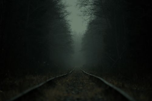 Free A dark, atmospheric railroad running through a foggy forest, creating a mysterious and moody scene. Stock Photo