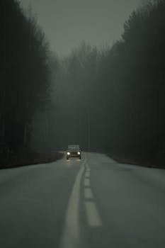 A car drives down a foggy road surrounded by dense trees, capturing a moody and atmospheric scene.