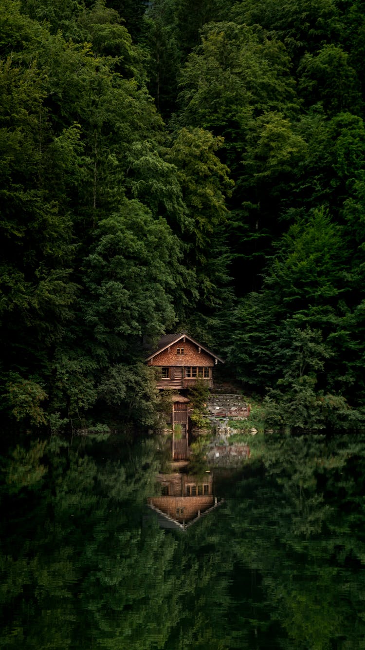 Cabin At Lake In Forest