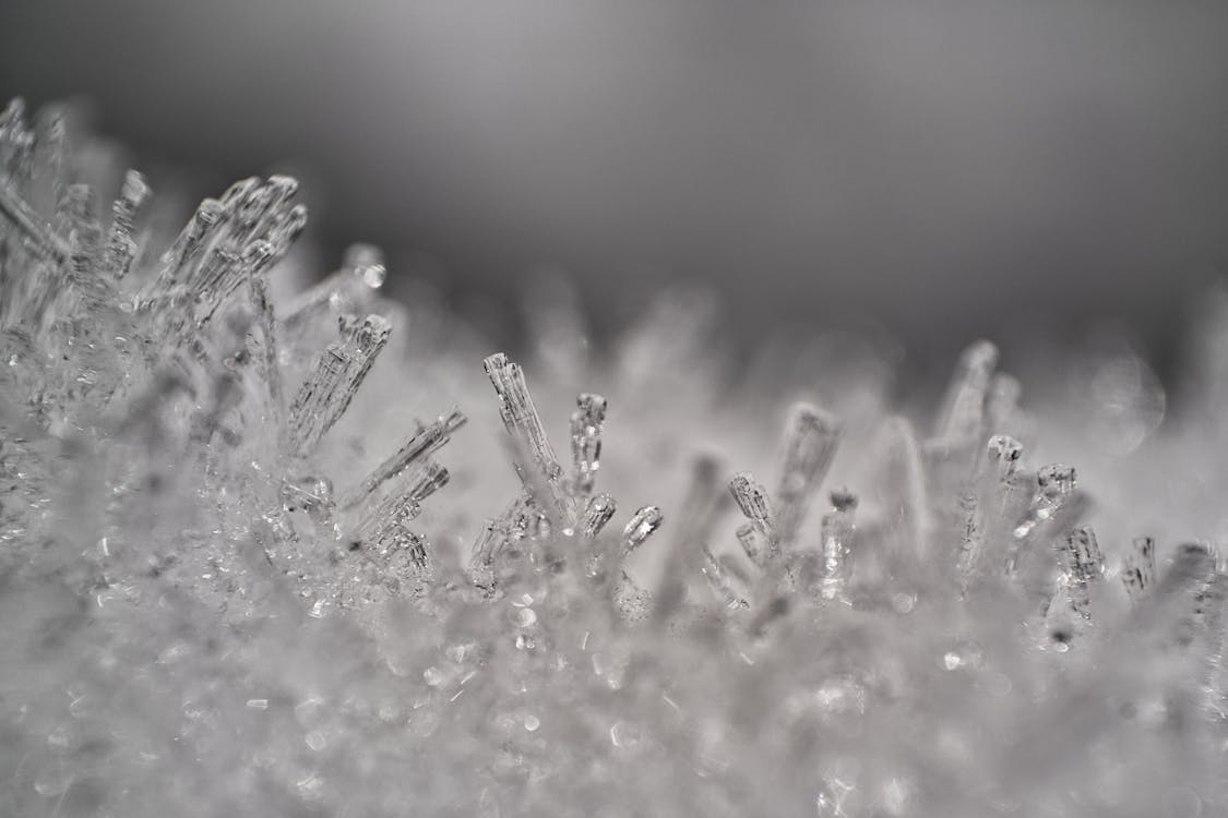 Ice Crystals in Close-up Shot