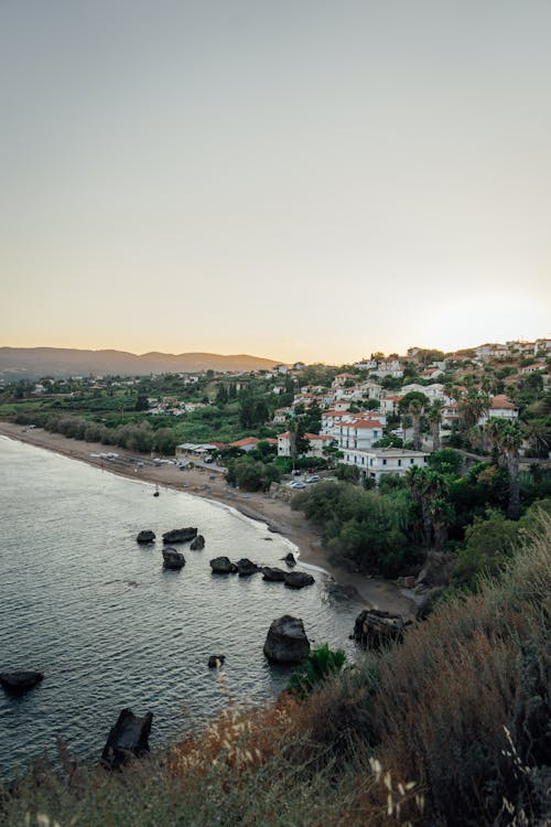 Aerial View of Houses Near Body of Water