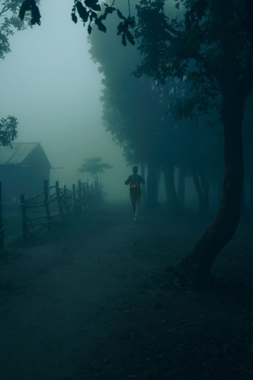 Person moving along a tree-lined path through morning fog, symbolizing trust in Yahawah when the way ahead is uncertain