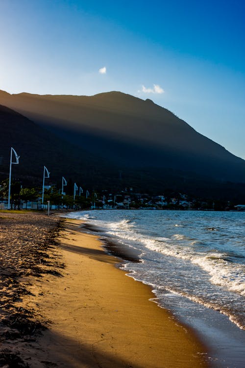 A Beach Waves Crashing on Shore