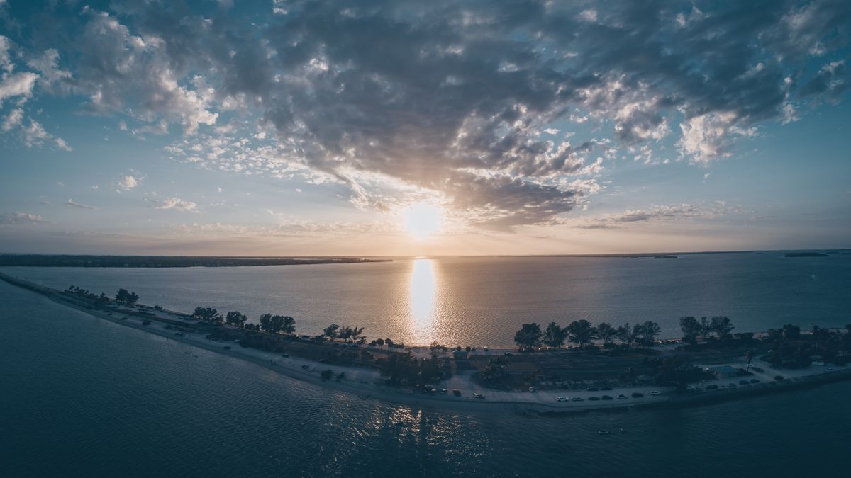 St. Petersburg, FL Free Samples Near Me: Where to Find Legit Deals
