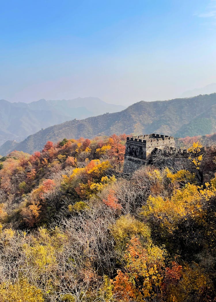 Fortress Watchtower In Thick Shrubs On Top Of Hill