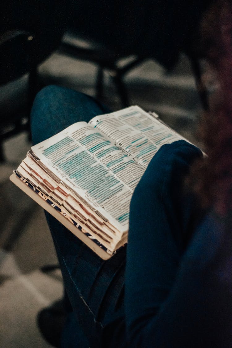 A Woman Reading A Book Placed On Her Lap