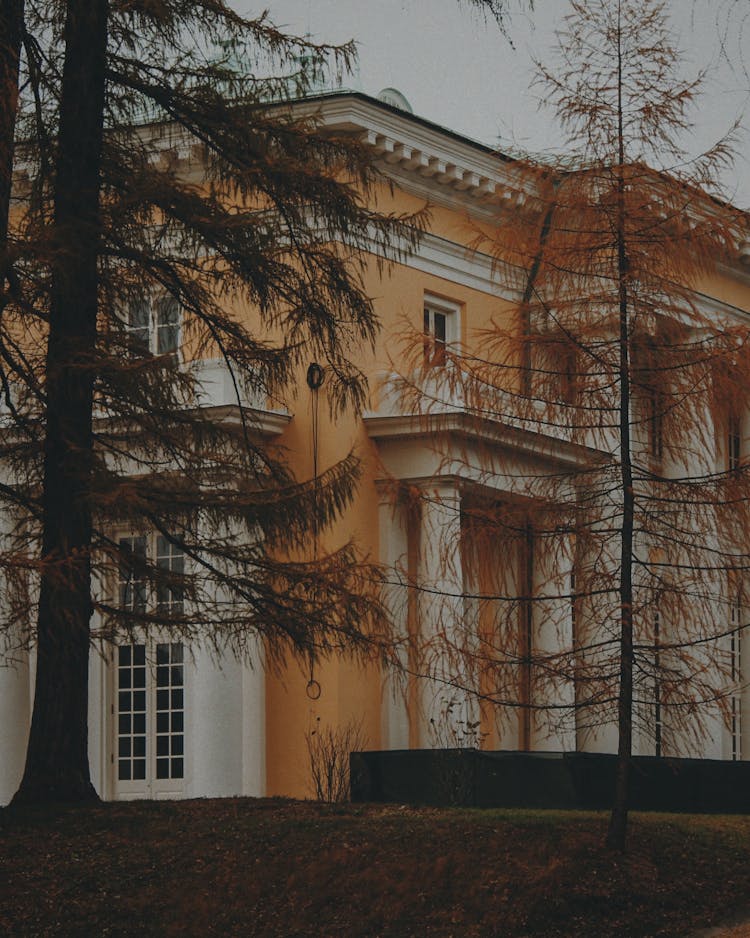 Villa And Trees