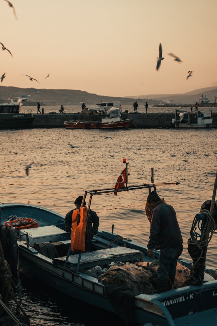 Birds Flying Above Fishing Boat