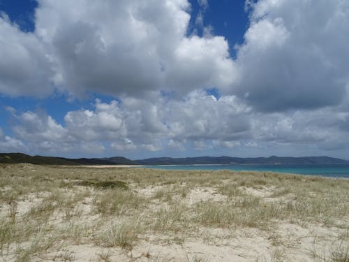 Kostenloses Stock Foto zu am strand, bauschige wolken, blick auf den strand