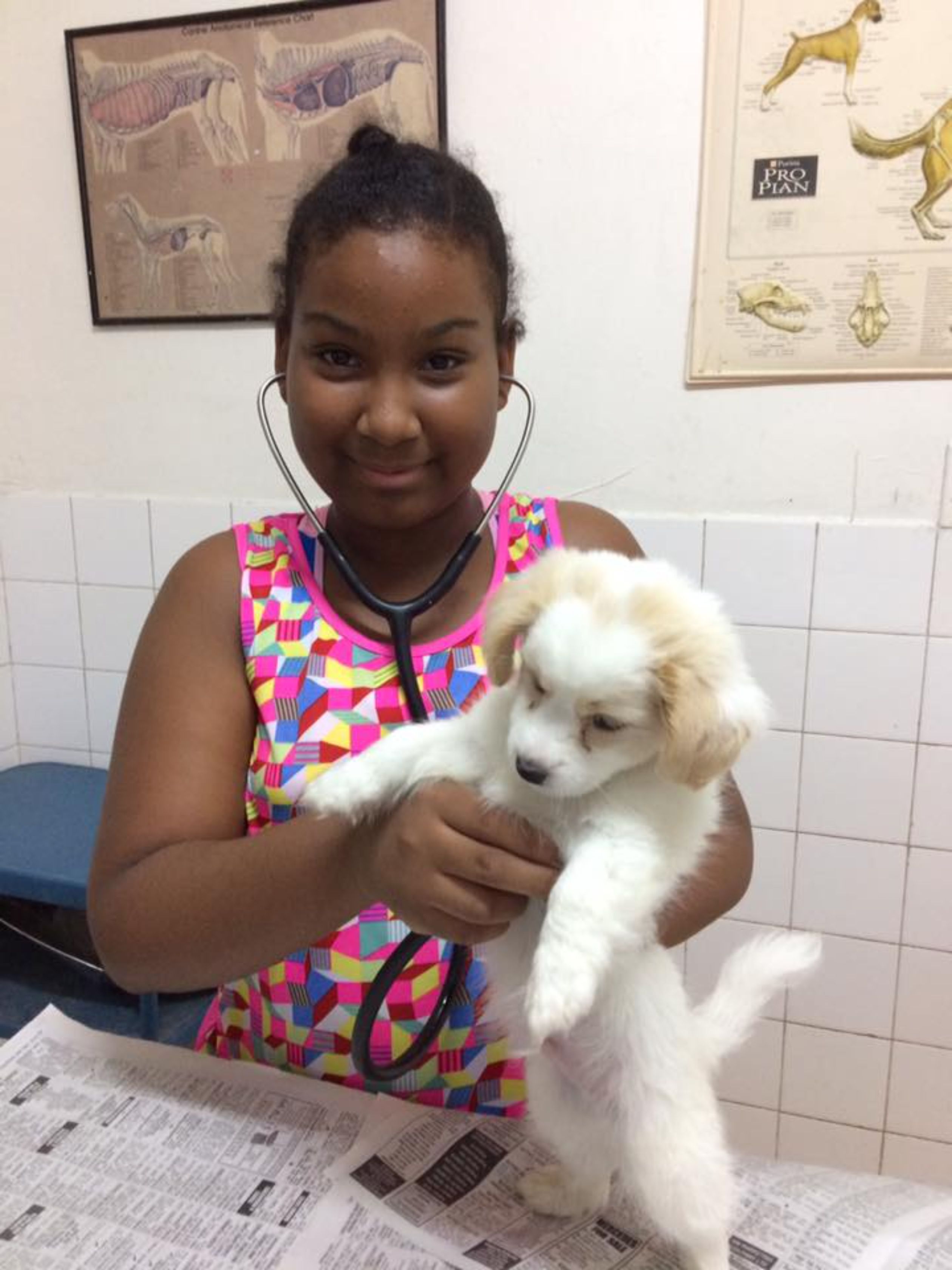 Jones Animal Clinic & Hospital 사진