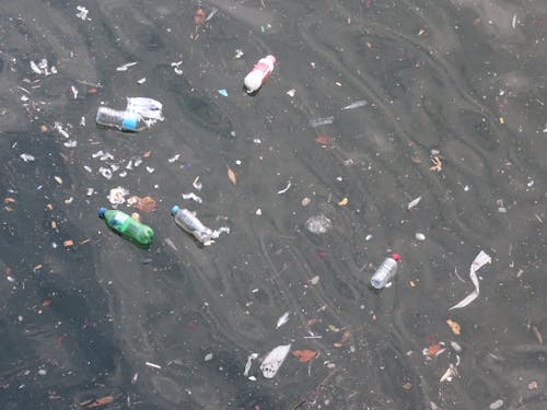 Безкоштовне стокове фото на тему «берег, відходи, екологічне очищення»