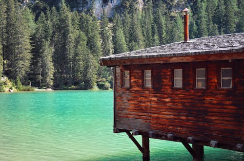 A Wooden House on Body of Water Near the Green Trees