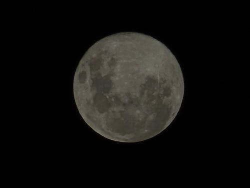 Foto profissional grátis de lua, lua cheia