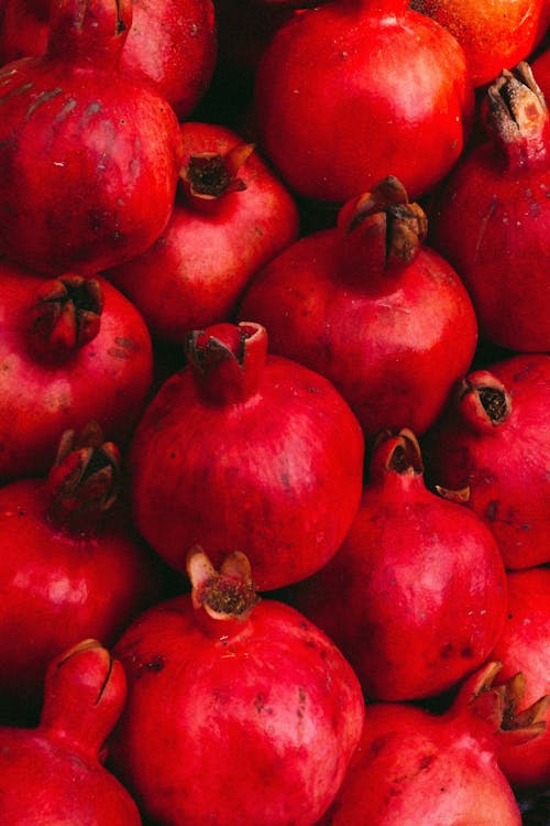 Close-Up Shot of Red Round Fruits