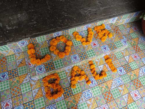 bali, Çiçekler, Endonezya içeren Ücretsiz stok fotoğraf