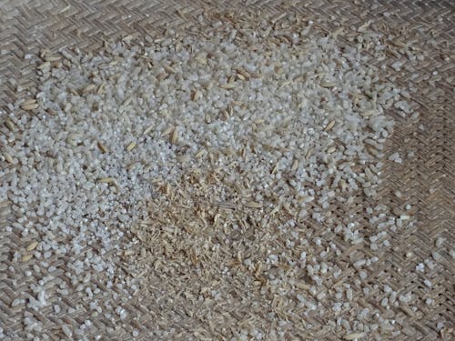 Free stock photo of grain, rice