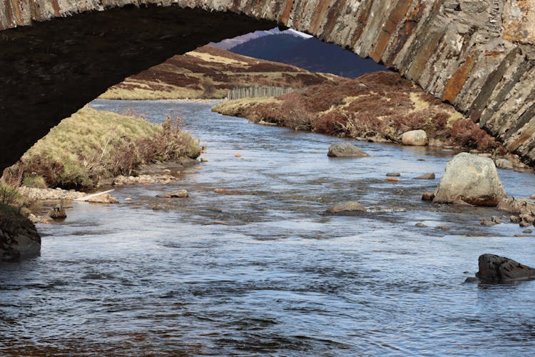 Creek Under Bridge