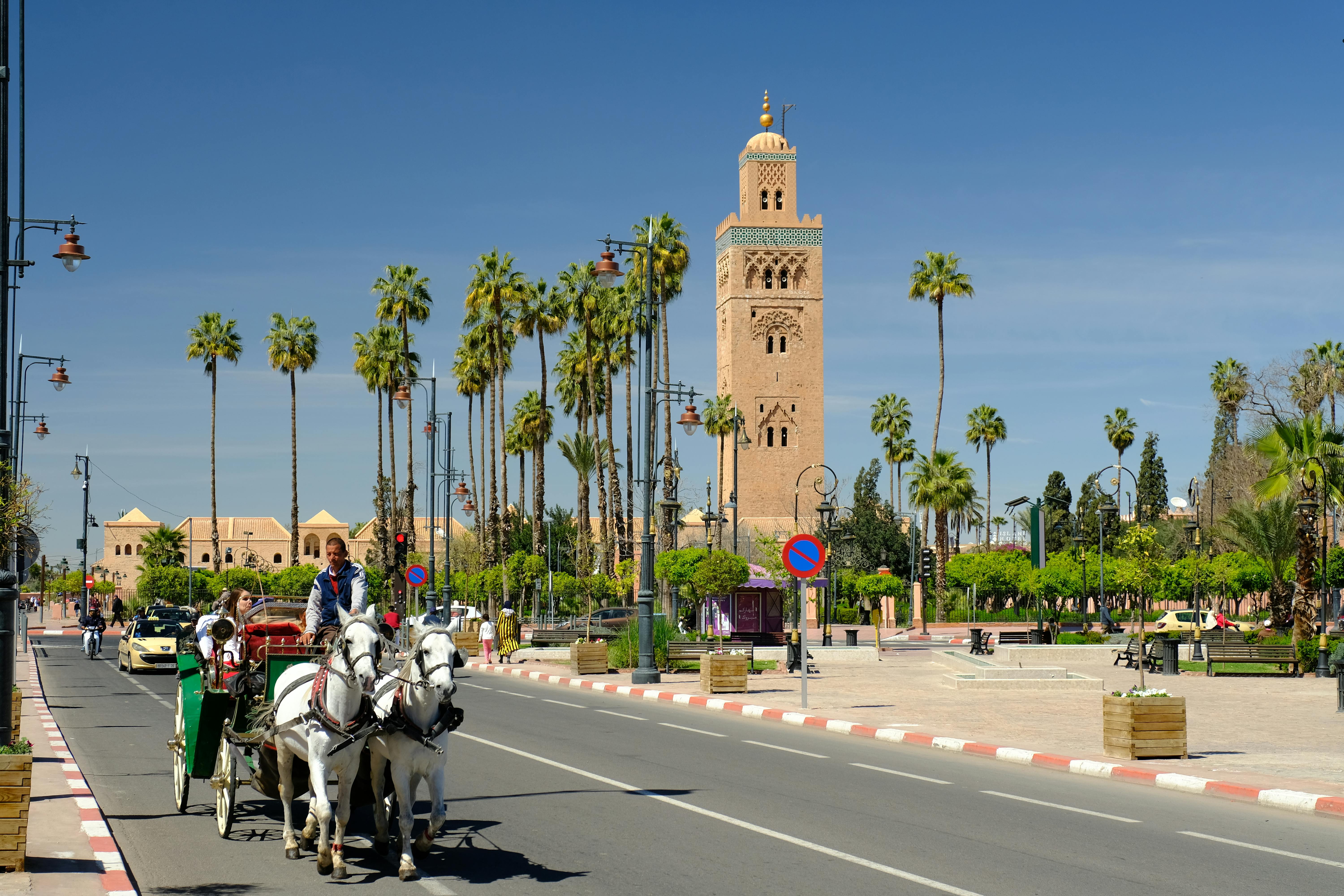 Free stock photo of carriage, grand mosque, marrakech