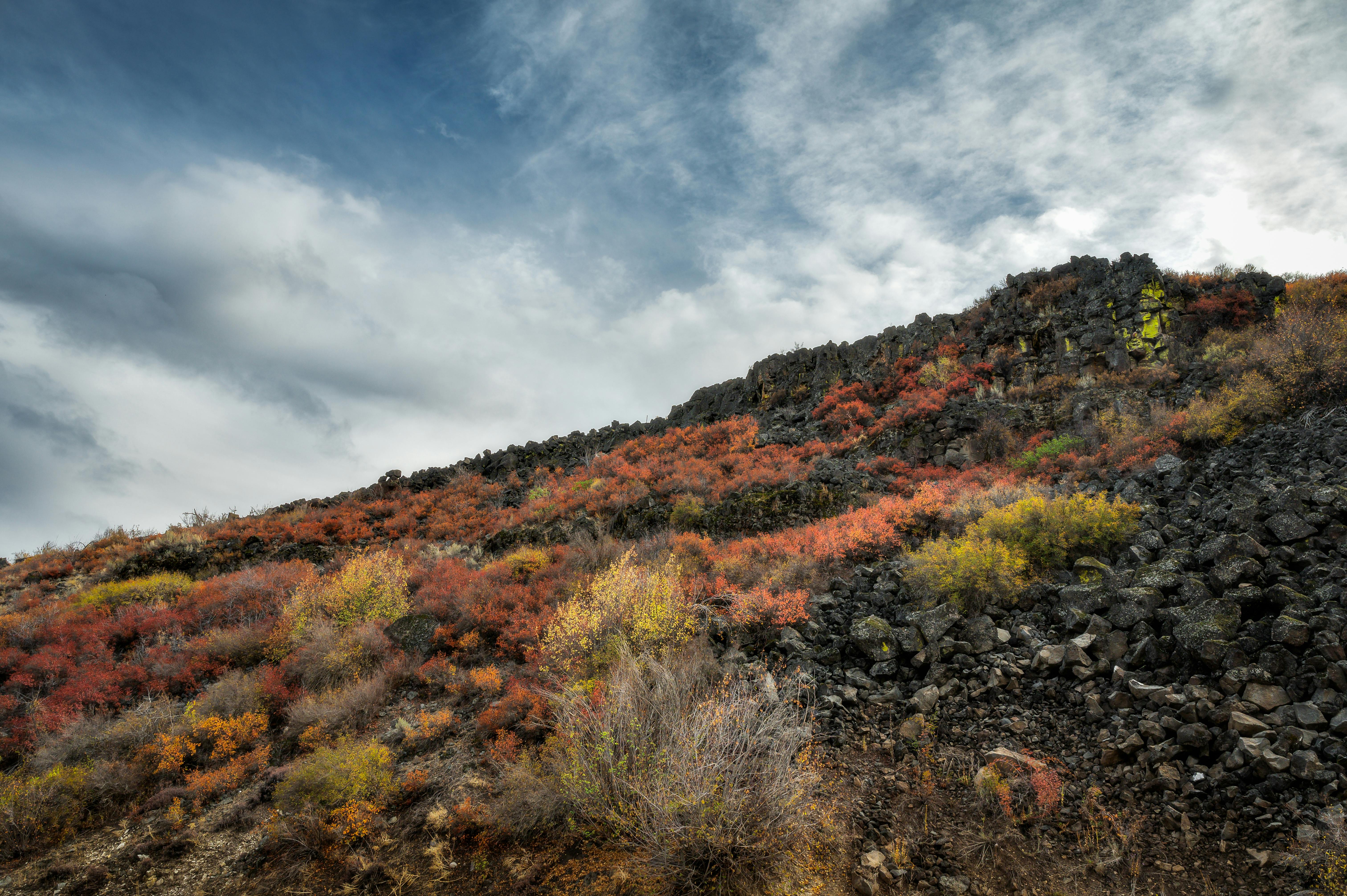 Photo by Brett Sayles