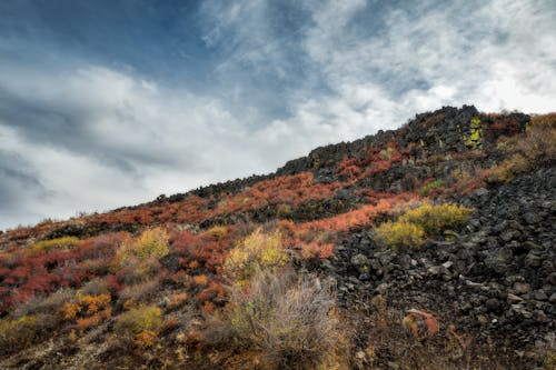 Green and Brown Mountain Under Blue Sky and White Clouds