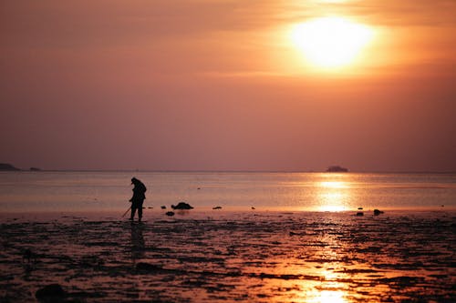 бесплатная Бесплатное стоковое фото с восход, закат, морской берег Стоковое фото