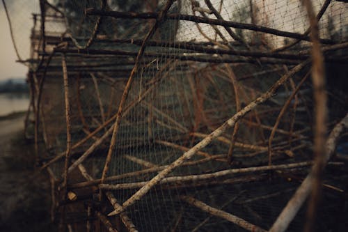 Fotobanka s bezplatnými fotkami na tému les, ohrada, paličky