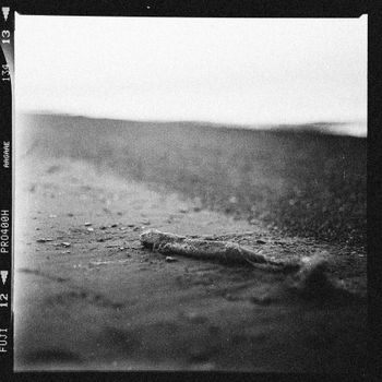A moody black and white close-up photograph of beach debris, emphasizing texture and depth.