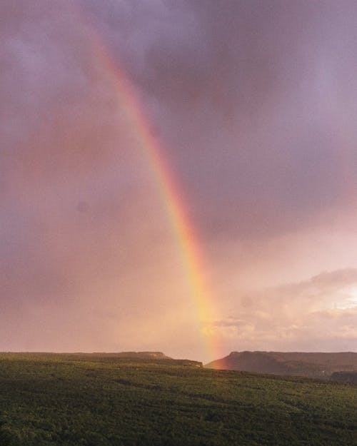 Photos gratuites de arc-en-ciel, couvert, fond d'écran mobile