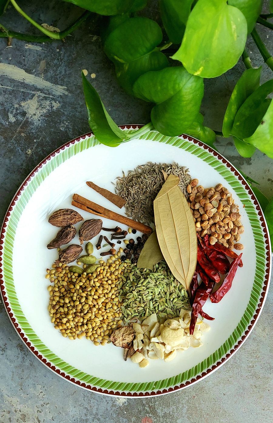 Curry Leaf