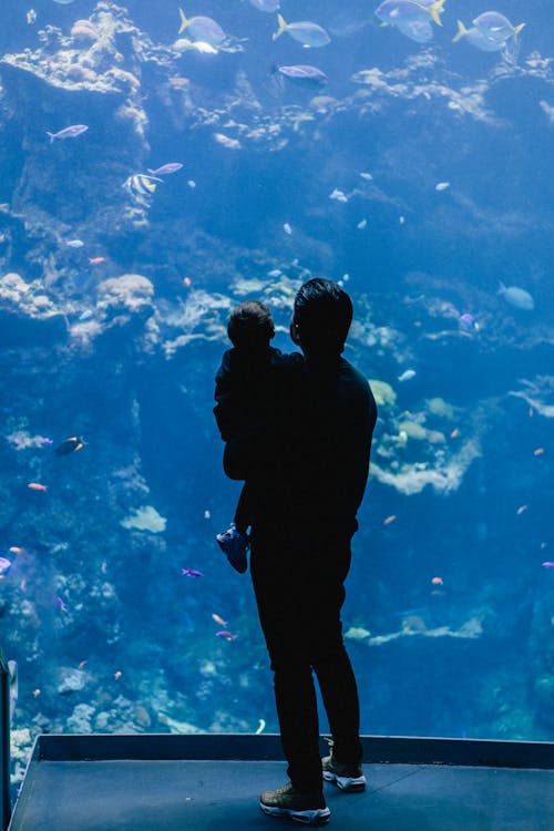 Free Father with Child Visiting Aquarium Stock Photo