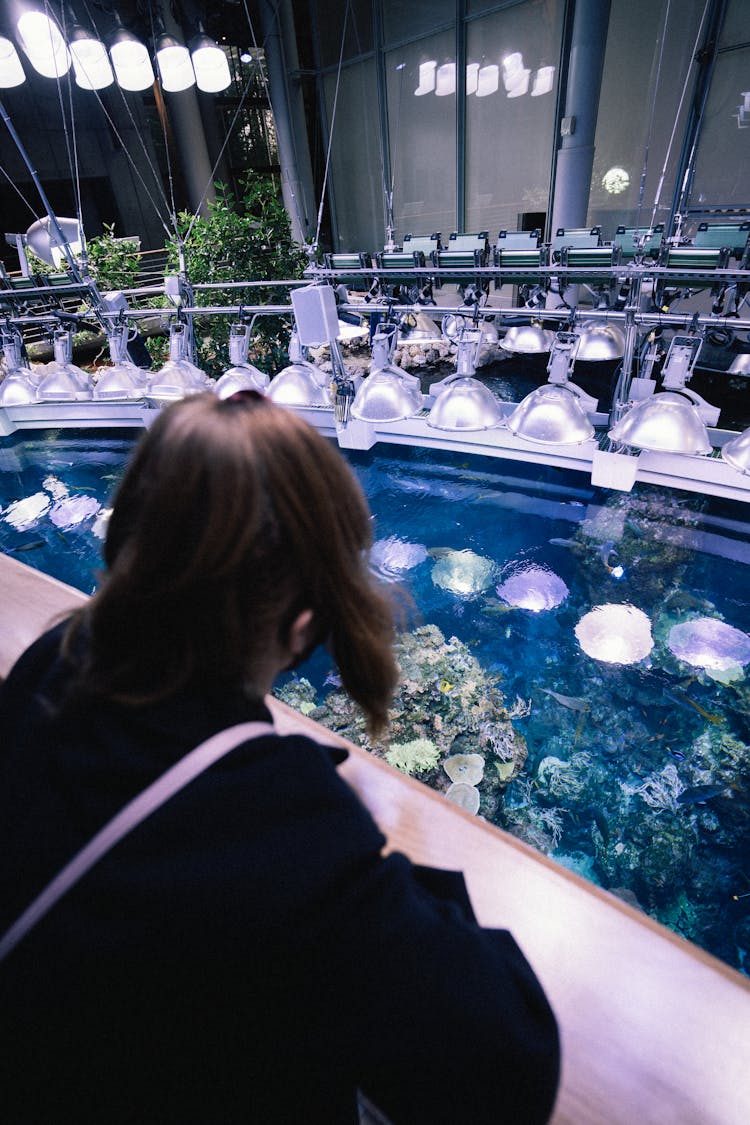 Woman Looking Into Large Aquarium