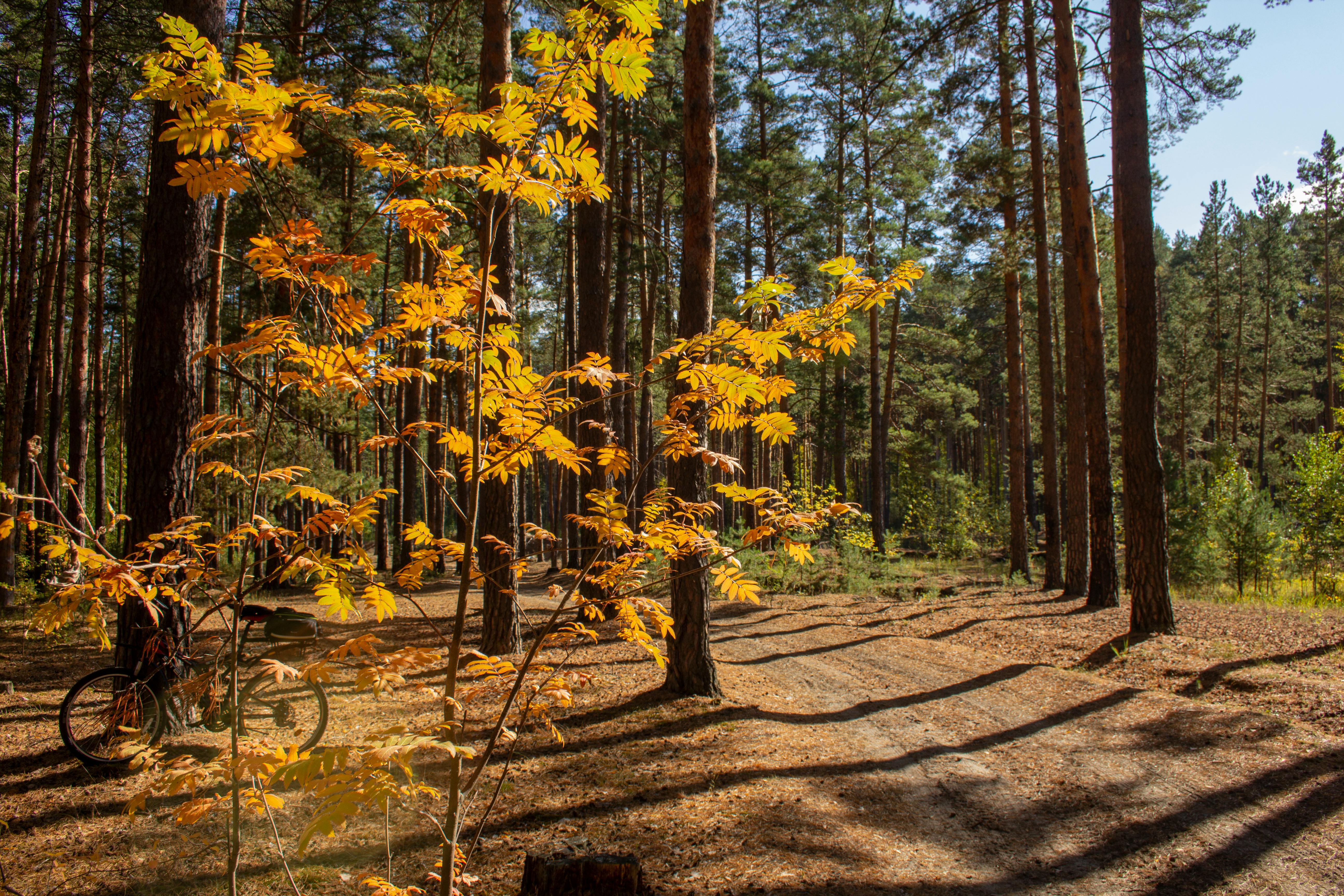 Understanding Spanish Culture: A Complete Guide