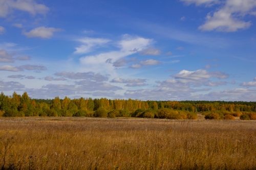 Free Beautiful autumn landscape with brown grass and colorful foliage in Russian countryside. Stock Photo