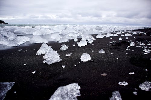 Darmowe zdjęcie z galerii z brzeg plaży, czarny piasek, góra lodowa