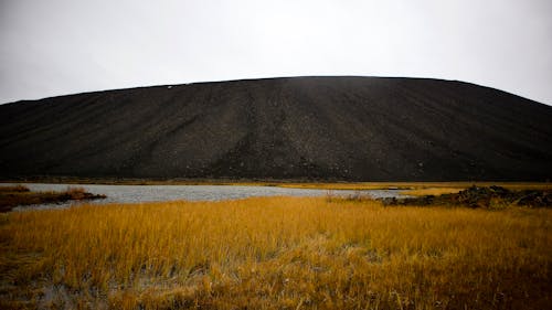 Kostnadsfri bild av kulle, lantlig, natur