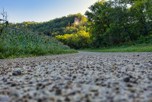 Foto profissional grátis de ao ar livre, árvores verdes, caminho