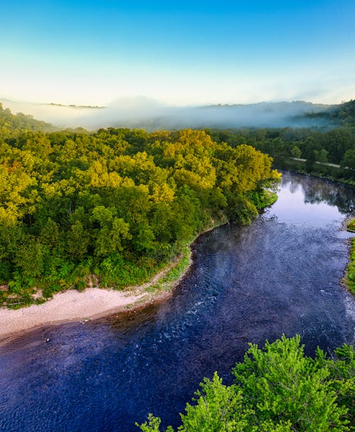 Immagine gratuita di alberi verdi, ambiente, campagna