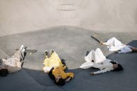 Free stock photo of accident, action, adult