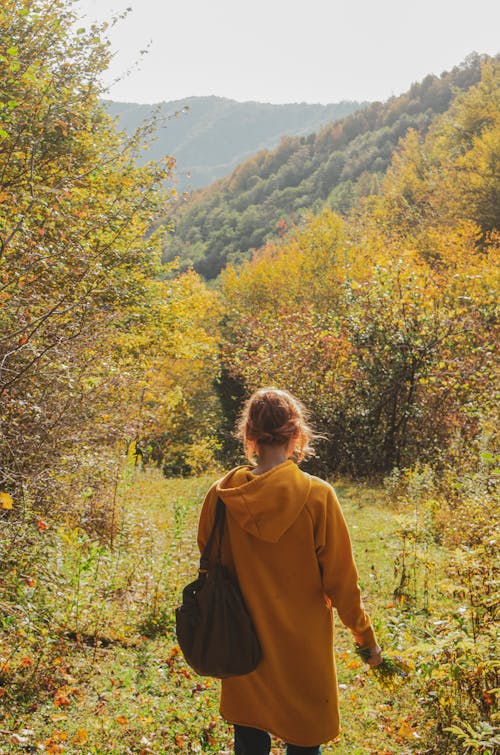 Imagine de stoc gratuită din arbori, codru, femeie