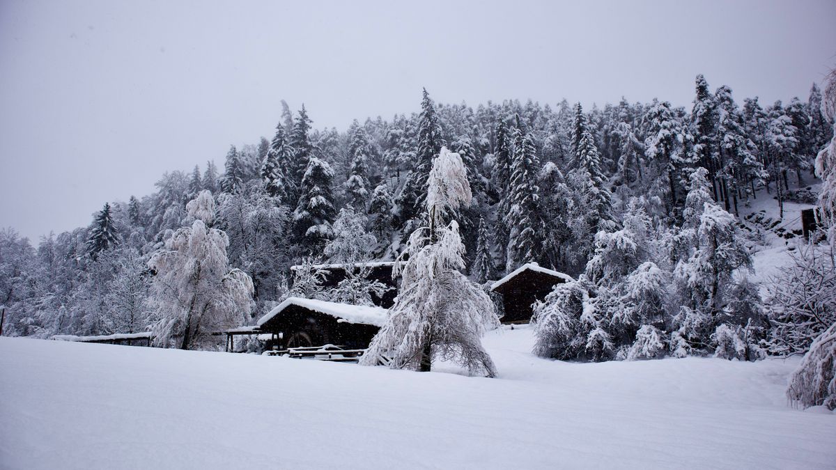 A cabin nestled in a snowy mountain forest
