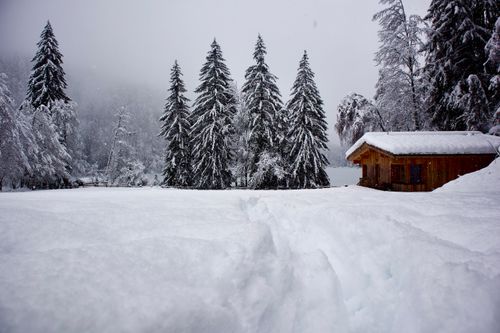 Free A picturesque wooden cabin in a snowy forest in Tirol, Austria during winter. Stock Photo
