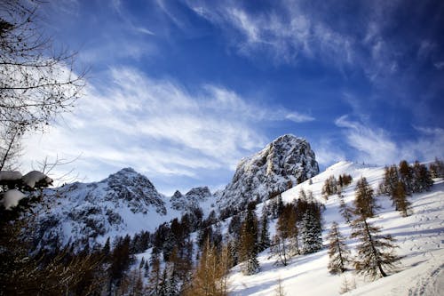 Ilmainen kuvapankkikuva tunnisteilla flunssa, lumihuippuinen vuori, lumiset vuoret