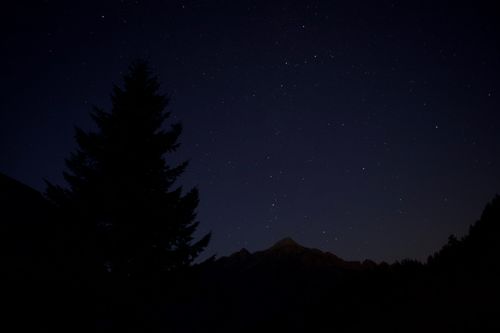 Free Silhouette of a tree and mountains under a clear starry sky in Gnadenwald, Tirol. Stock Photo