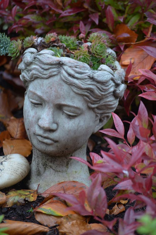 Succulent Flower Plant on Goddess Head Statue Pot Design