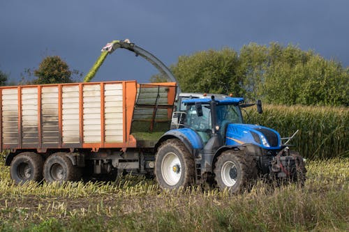 Blue Tractor Harvesting in a Farm