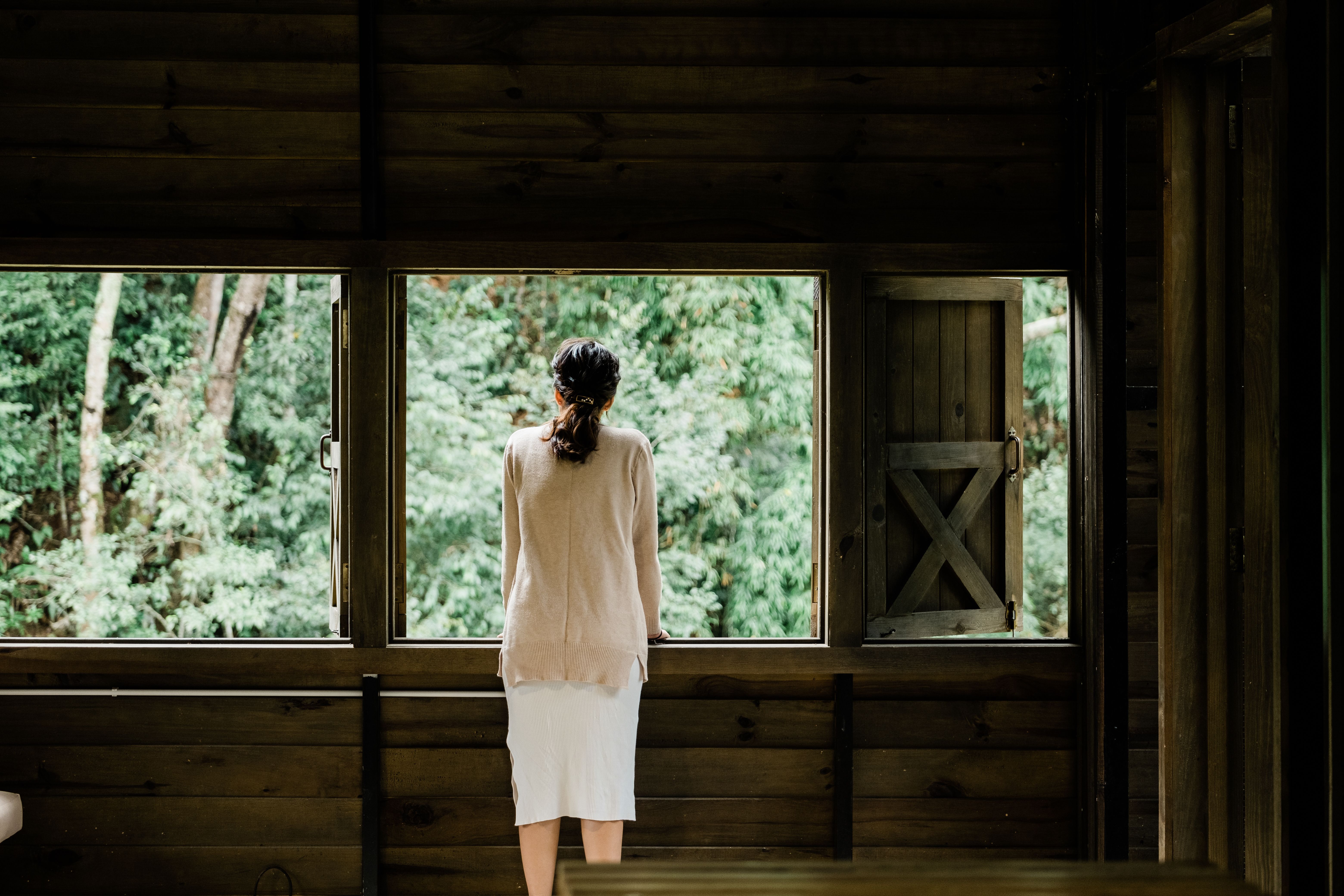 Photos gratuites de à l'intérieur, arbres, battre en retraite