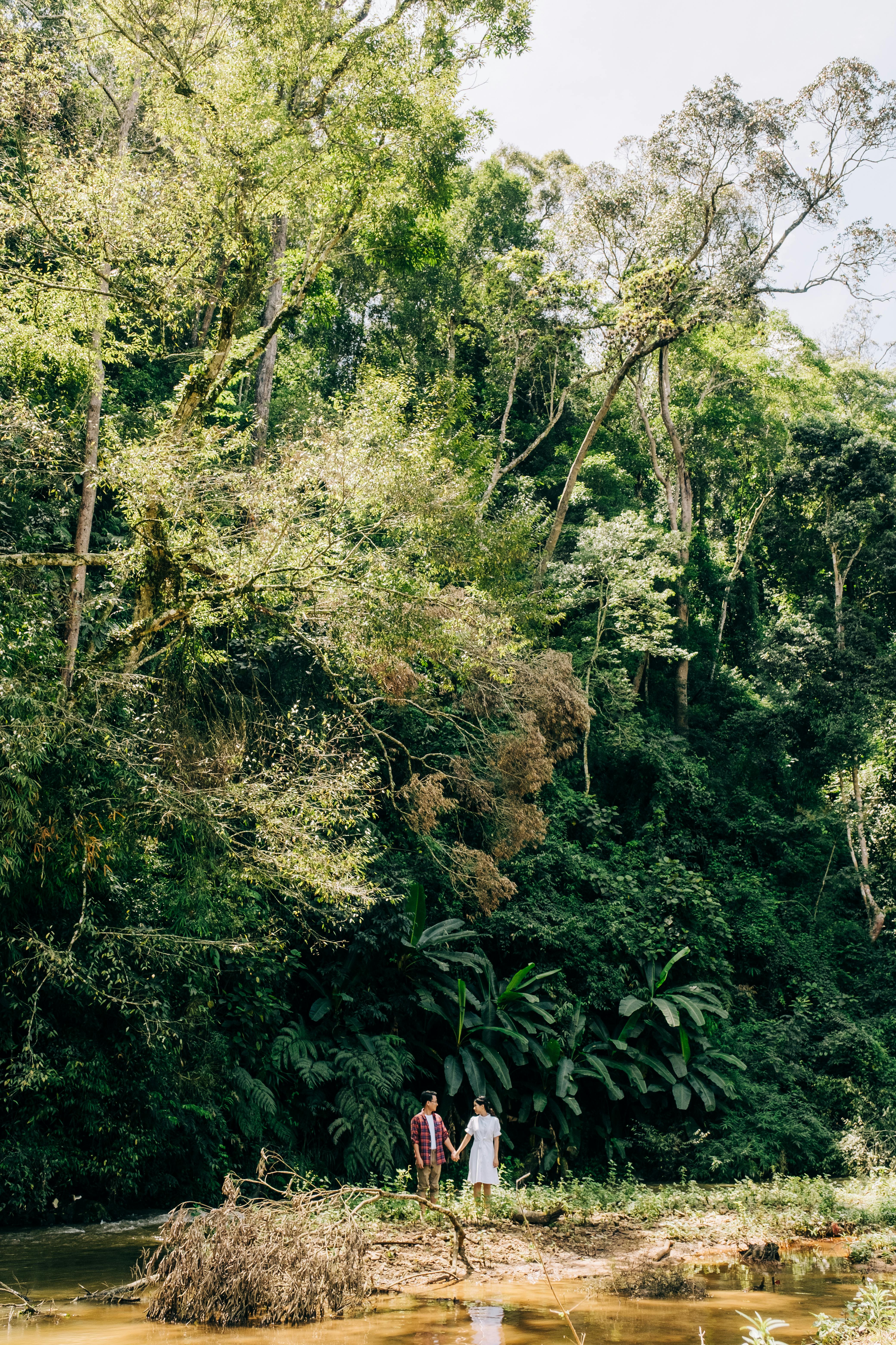 Couple standing and holding hands in a vibrant forest setting, symbolizing love amidst nature.